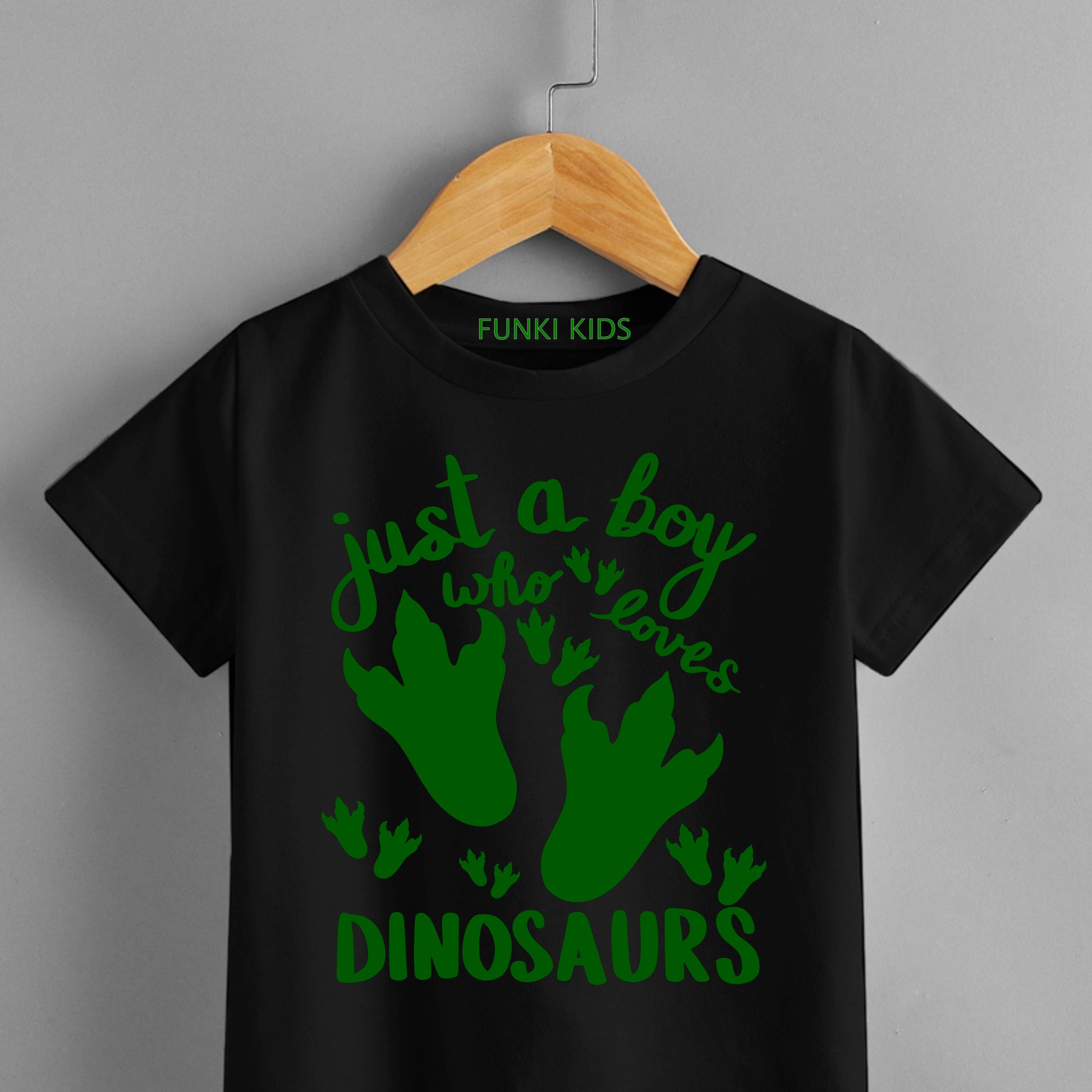 Just A Boy/Girl Who Loves Dinosaurs T-Shirt image 0