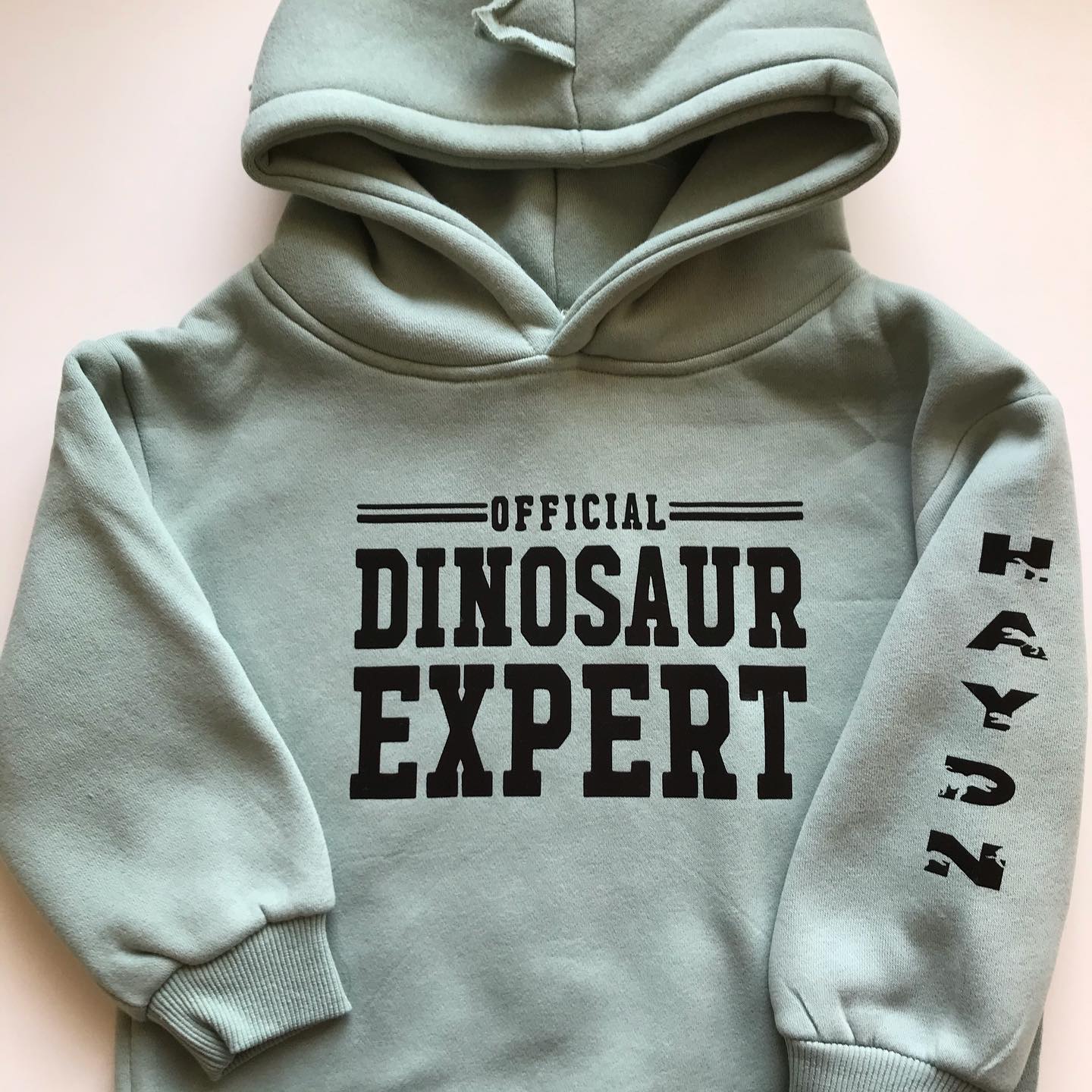 Personalised Official Dinosaur Expert Hoodie image 2