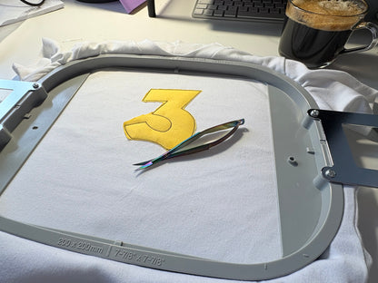 Personalised Racing Car Birthday T-Shirt with Appliqué Age – Custom Kids Birthday Top